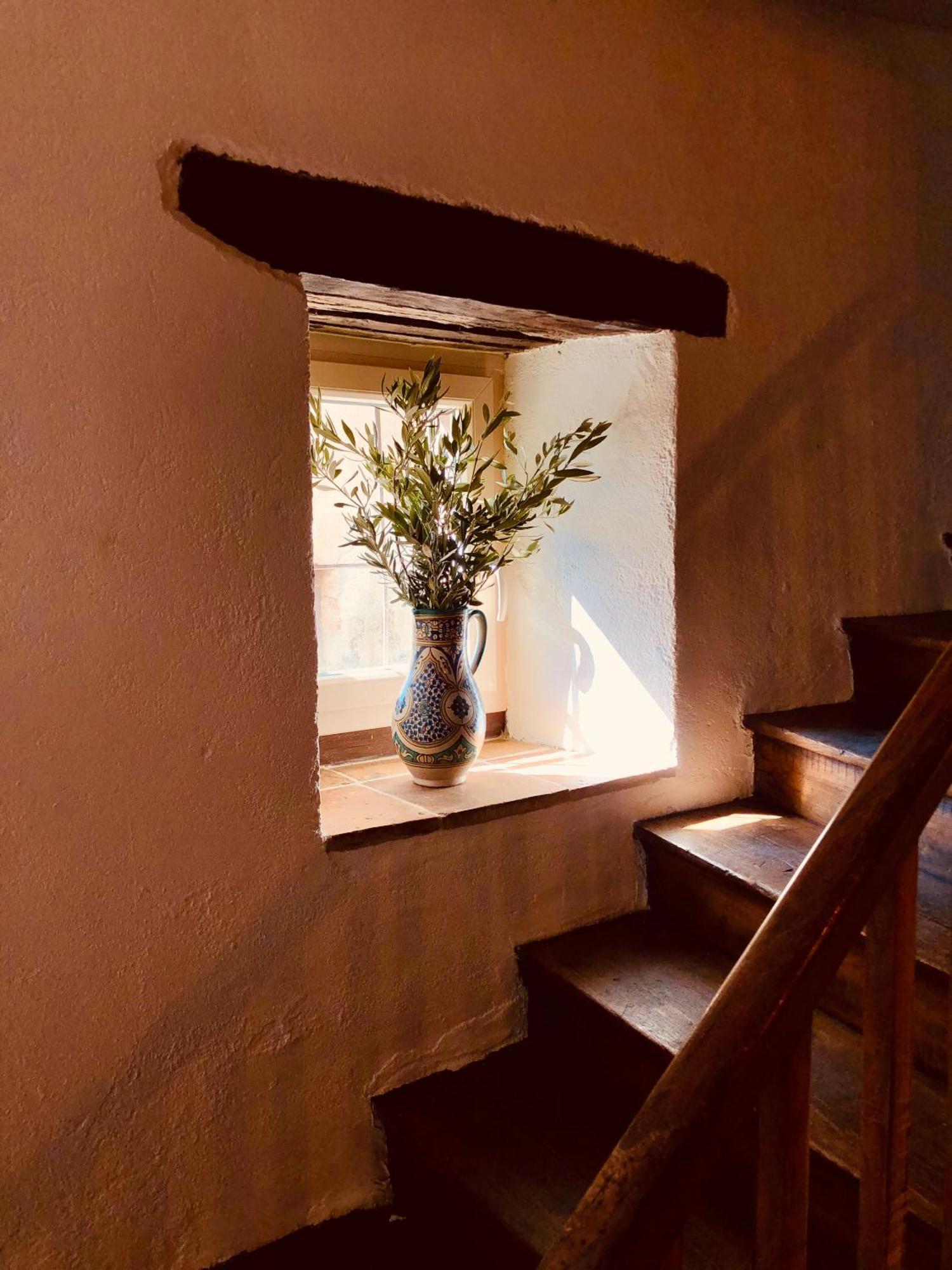 Maison De L'Aurausse Les Cabannes  Exteriér fotografie